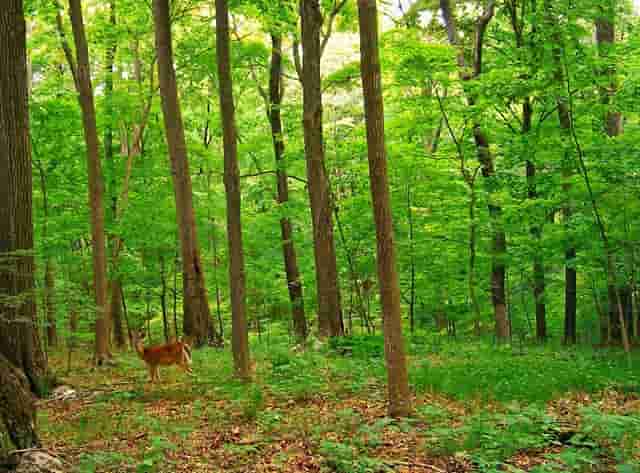 政法系统教育整顿工作小结