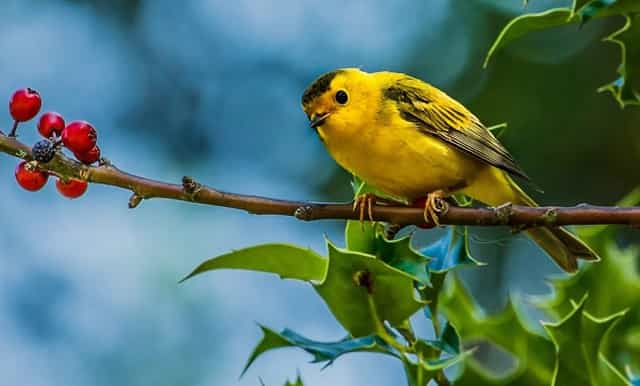 孕期用了含薄荷的牙膏(孕期能用薄荷牙膏吗)