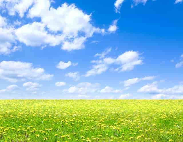 深圳接种疫苗老人