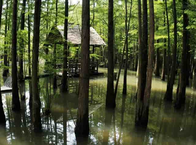 新冠接种疫苗查不到记录