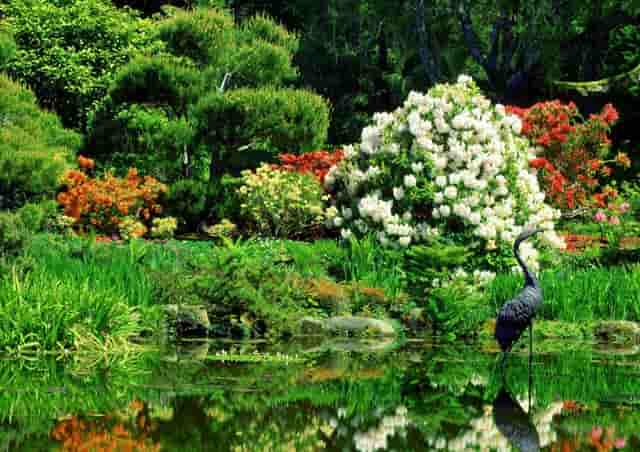 撞人当时没让人赔