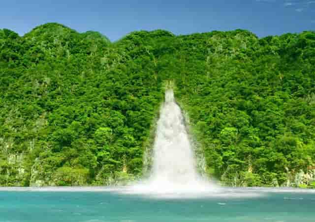 袖虎病狗攻略：为什么好好的小狗到家几天就S了？