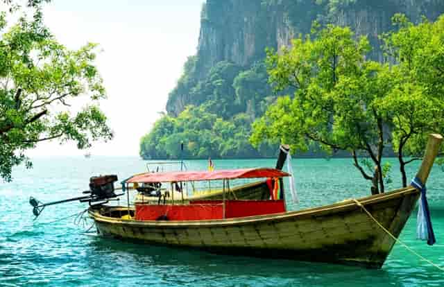 袖虎宠物捅出常见套路