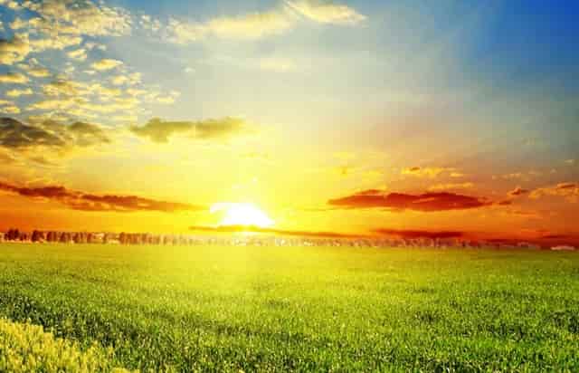 长沙云翼培训学校获喜报，高考小语种助你走进名校大门！