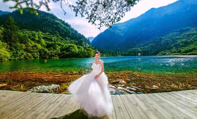 袖虎宠物传授品牌宠物店如何解决臭味问题！