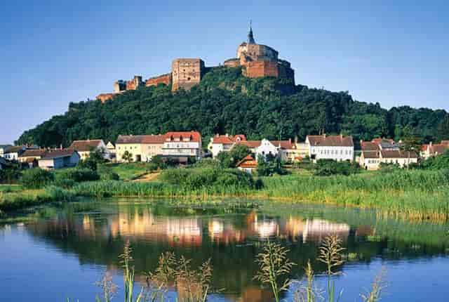 袖虎这个训猫技巧，一般人不知道