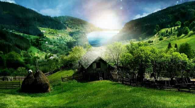 “鄂尔多斯红葱”正逐步走向产业化