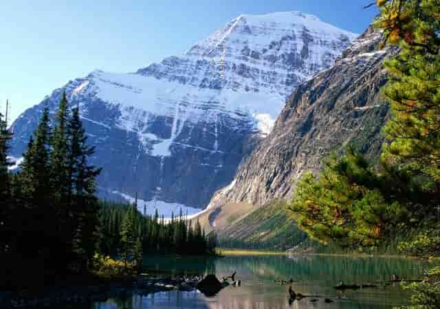 对校外培训机构的整治