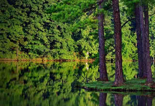 袖虎提醒您，避免狗狗眼睛出问题！