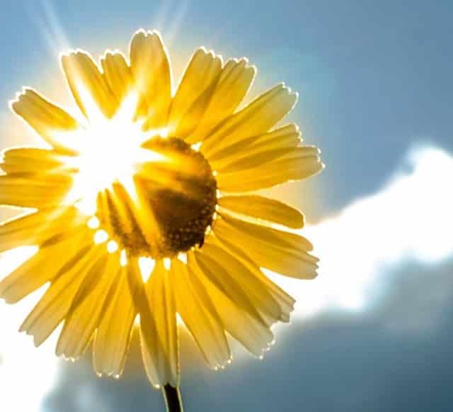 乒乓球第11集视频