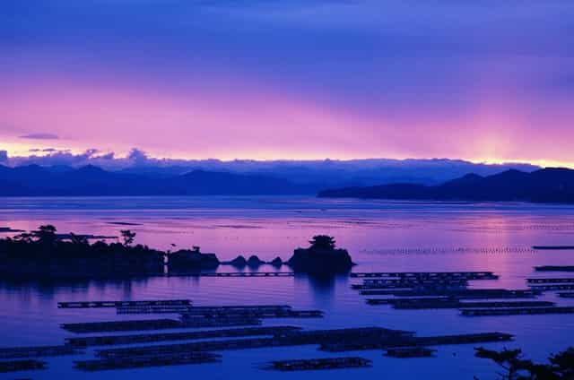 报名教师资格证都需要什么(教师资格证用什么浏览器报名)