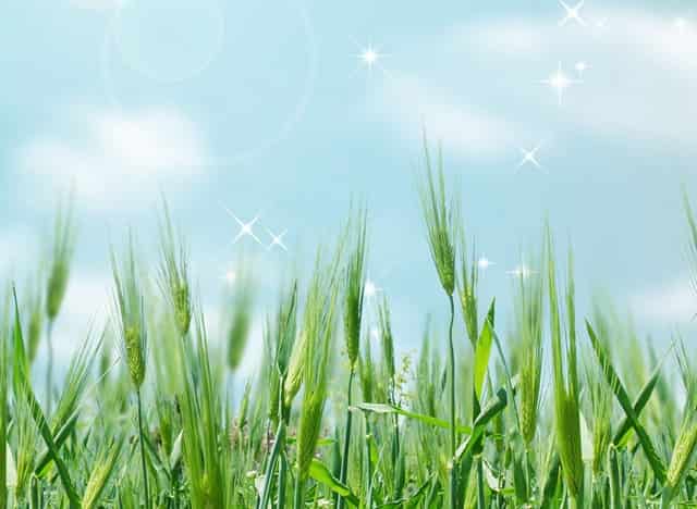 离婚孩子没跟妈妈