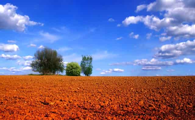比亚迪上半年新车销量首进全球前十