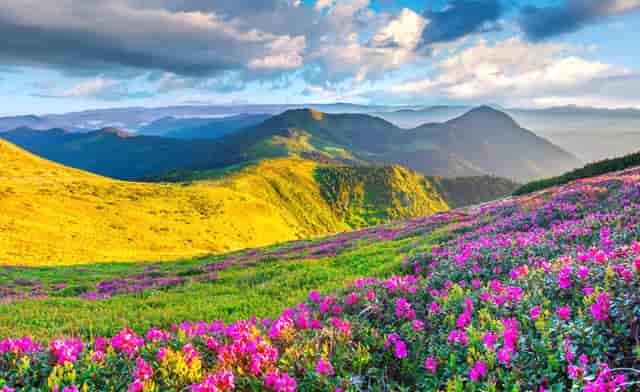 董明珠说格力有多强