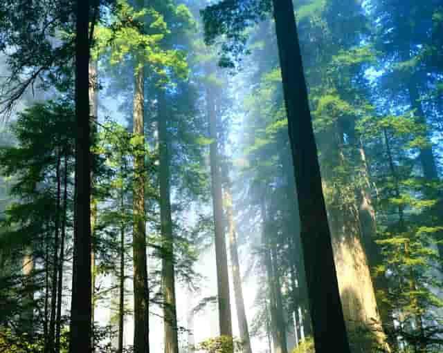 锂电池安全使用技术