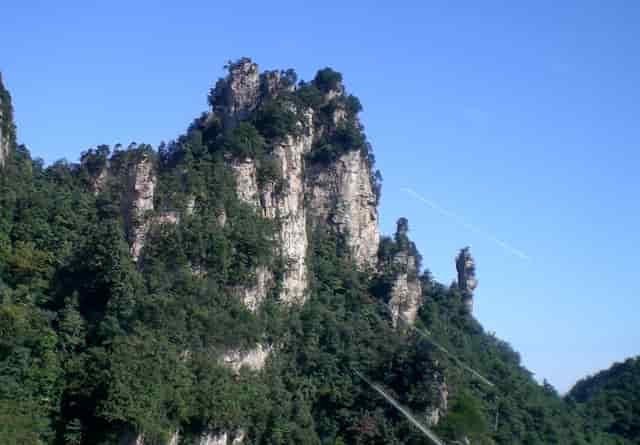 新冠疫苗 上海生物