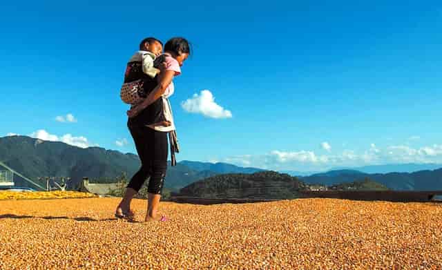 交警夜查车辆酒驾