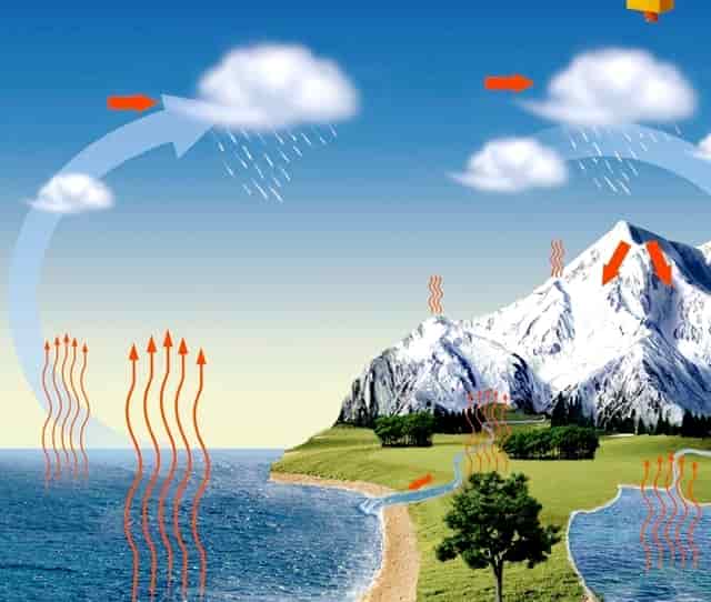 袖虎病猫攻略：猫细小的症状有哪些？