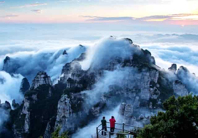 西比曼生物科技正式启用全新英文标识“AbelZeta