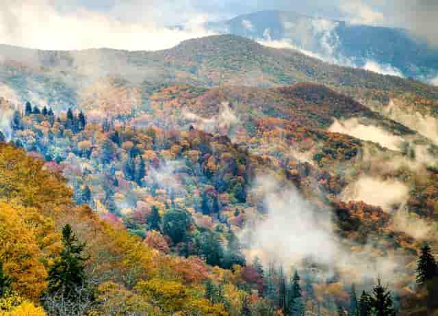 新冠疫苗接种流动接种