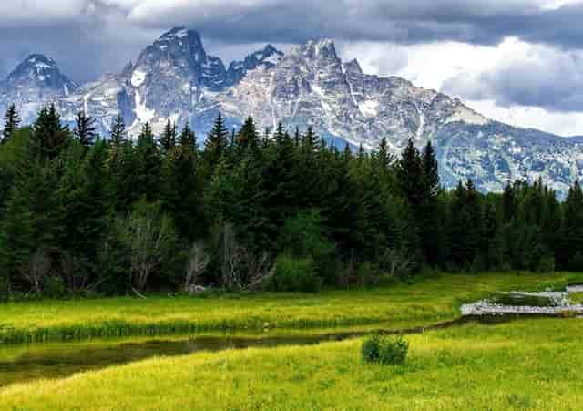 成人高考的本科能