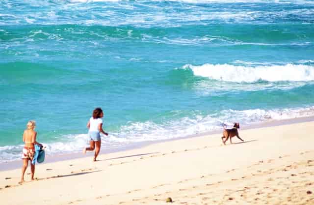 袖虎知识库：这个东西看似没用，实则少不了