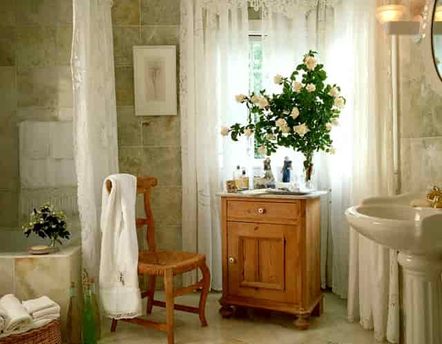 袖虎宠物创业攻略：如何躲过加盟骗局？