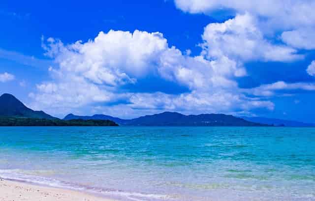 淘宝店铺和公司名字不一样