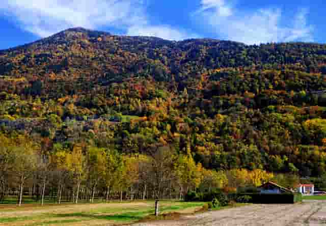 奥运女子十米台(男子十米台奥运名单)