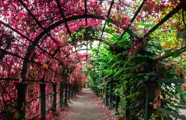 衬衫时尚穿搭技巧(衬衫如何穿搭才时尚)