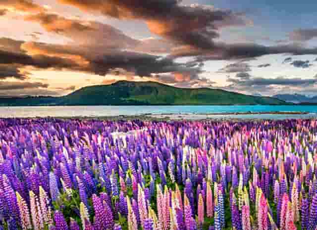 时尚天河拍摄技巧(时尚大片拍摄技巧)