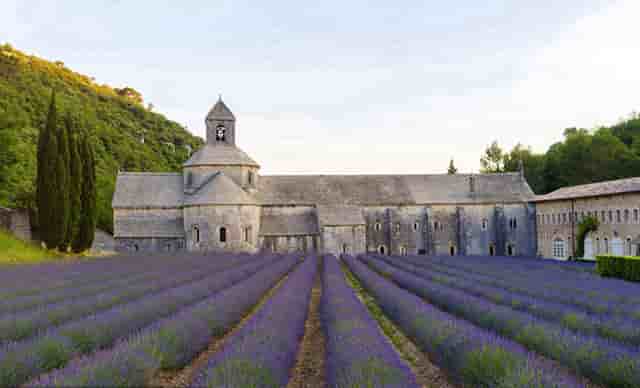 时尚潮男穿衣搭配技巧(王菲时尚穿衣搭配图片)