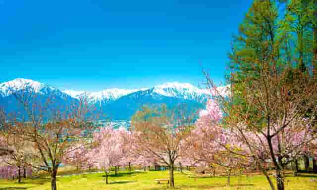 男士时尚风衣搭配技巧(男士风衣怎么搭配)