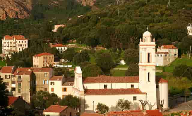 西比曼正式宣布启动脂肪间充质干细胞产品AlloJoin®的III期临床试验