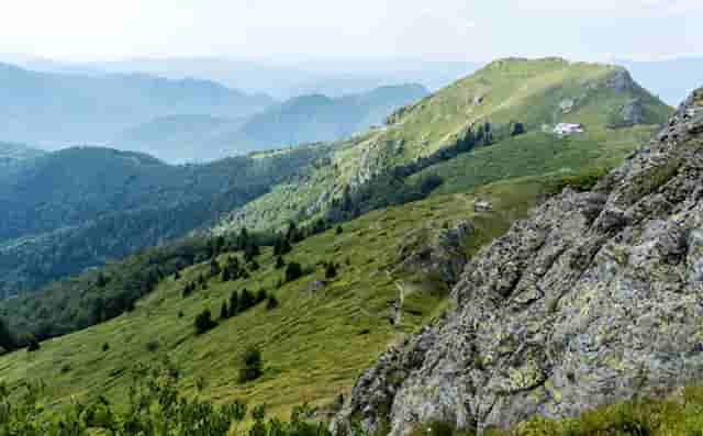 打底袜 韩国 秋冬(秋冬红裙子配什么打底袜)