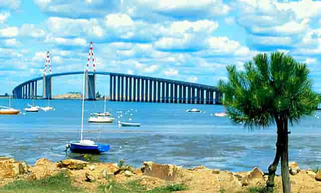 时尚亮眼的荧光绿羽绒服搭配技巧