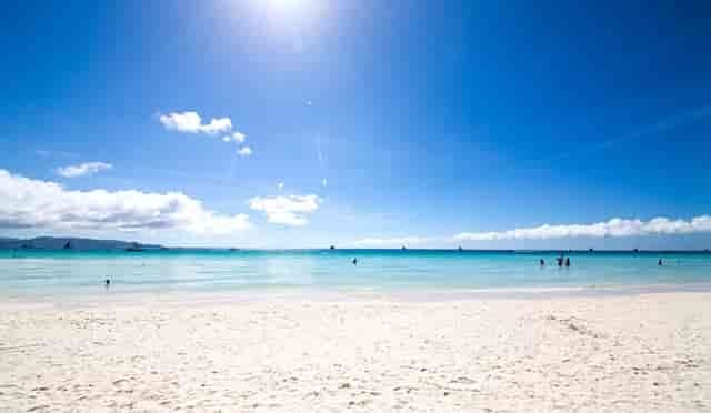 加盟袖虎宠物，你就知道创业很简单！