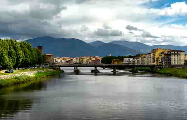 袖虎病猫攻略：猫反复长跳蚤是为什么？