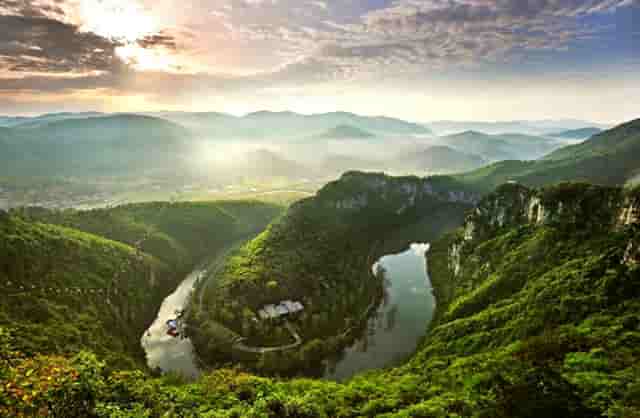 袖虎病猫攻略：猫剃毛有哪些坑