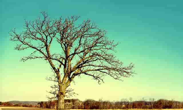 服装搭配技巧 时尚女装(秋季时尚女装搭配图片)