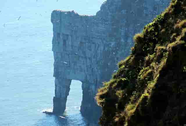 掌上世界杯火热来袭 枞横世界杯预测锦标赛进行中