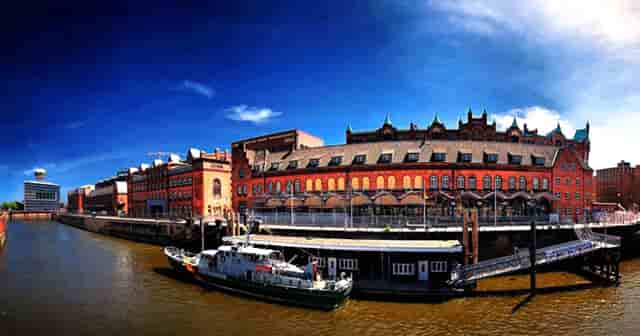 袖虎病狗攻略：眼泪汪汪的贵宾，小心得病