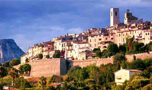 宠物行业的品牌优势，袖虎究竟能带来什么？