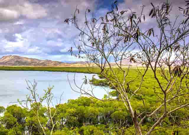 梦幻新诛仙突然被禁言了(梦幻新诛仙被禁言了怎么办)