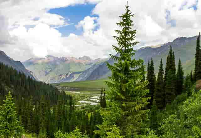 冬天韩系穿搭(男生冬天穿搭)