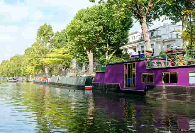 袖虎病狗攻略：狗狗口腔保健，拒绝口臭