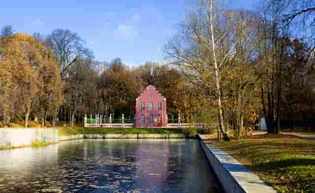 担心加盟宠物店无利可图？袖虎宠物告诉你行业真相!