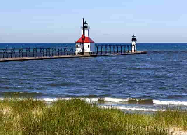 袖虎病狗攻略：狗真的都爱吃骨头吗