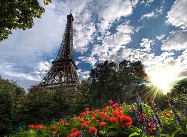 袖虎病猫攻略：猫咪腹泻的处理方法